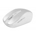 Everest CM-890G 6D Metalik Gümüş 1600 Dpi Alkalin Pilli Kablosuz Lüks Optik Mouse