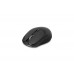 Everest SM-250 Usb Siyah Multımedya Fonksiyon Tuşlu Alkalin Pilli Kablosuz Mouse